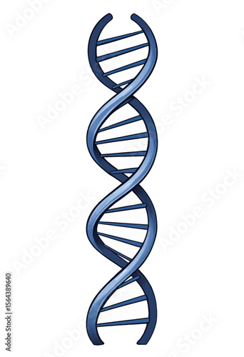 Detailed blue cartoon illustration of a DNA double helix, a powerful symbol of genetics, scientific discovery, molecular biology, and the fundamental code of life.
