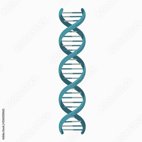 A detailed 3D illustration of a blue DNA double helix strand, representing genetics, molecular biology, scientific research, and the code of life for medical or educational use.
