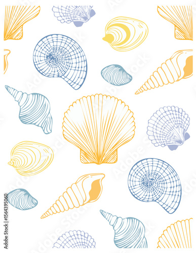 vector illustration of seashells