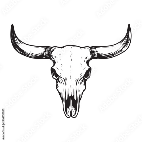 Black and white illustration of a bull skull with large horns. Vector illustration 
