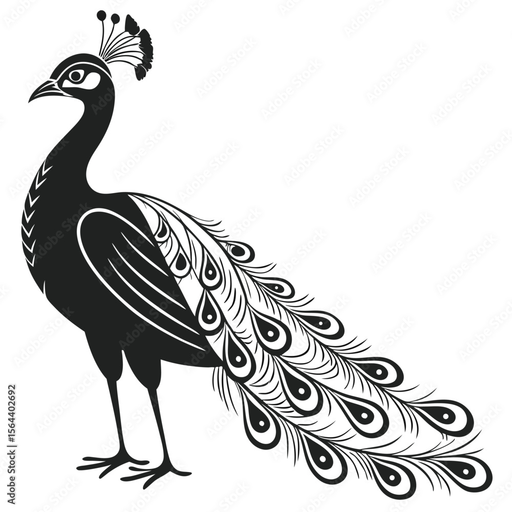 Naklejka premium peacock isolated on white