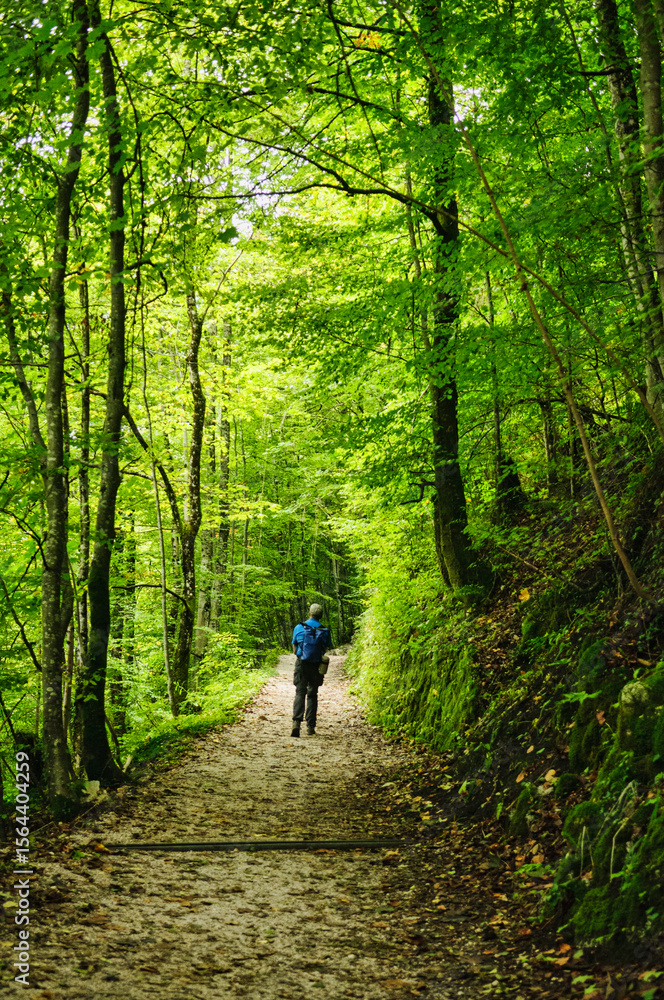 Obraz premium Mountain trail at the village of Hallstatt, Salzkammergut, Austria