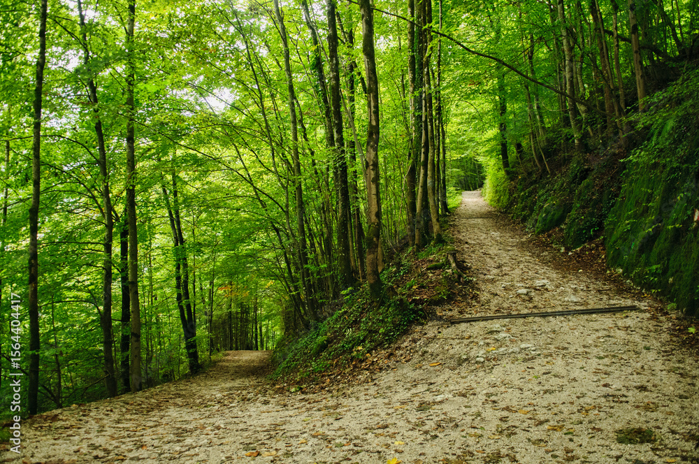Obraz premium Mountain trail at the village of Hallstatt, Salzkammergut, Austria