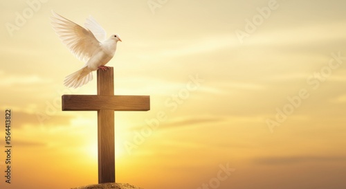 White dove perched on a wooden cross against a serene sunset sky, symbolizing peace and hope