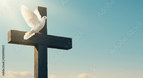 White dove perched on a wooden cross against a serene sky, symbolizing peace and hope