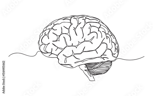 human brain one continuous line drawing vector