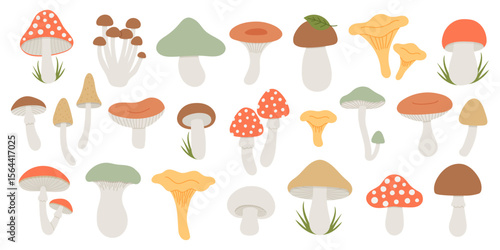 Set of forest wild mushrooms. Autumn fungi elements. Flat hand drawn vector illustration