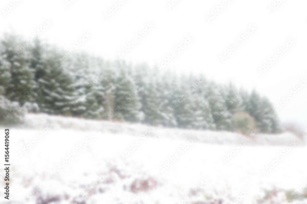 Fototapeta premium Trees on snow covered field against clear sky