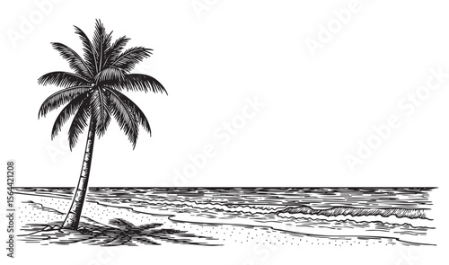 beach scene with palm tree engraving vector style engraving vector style