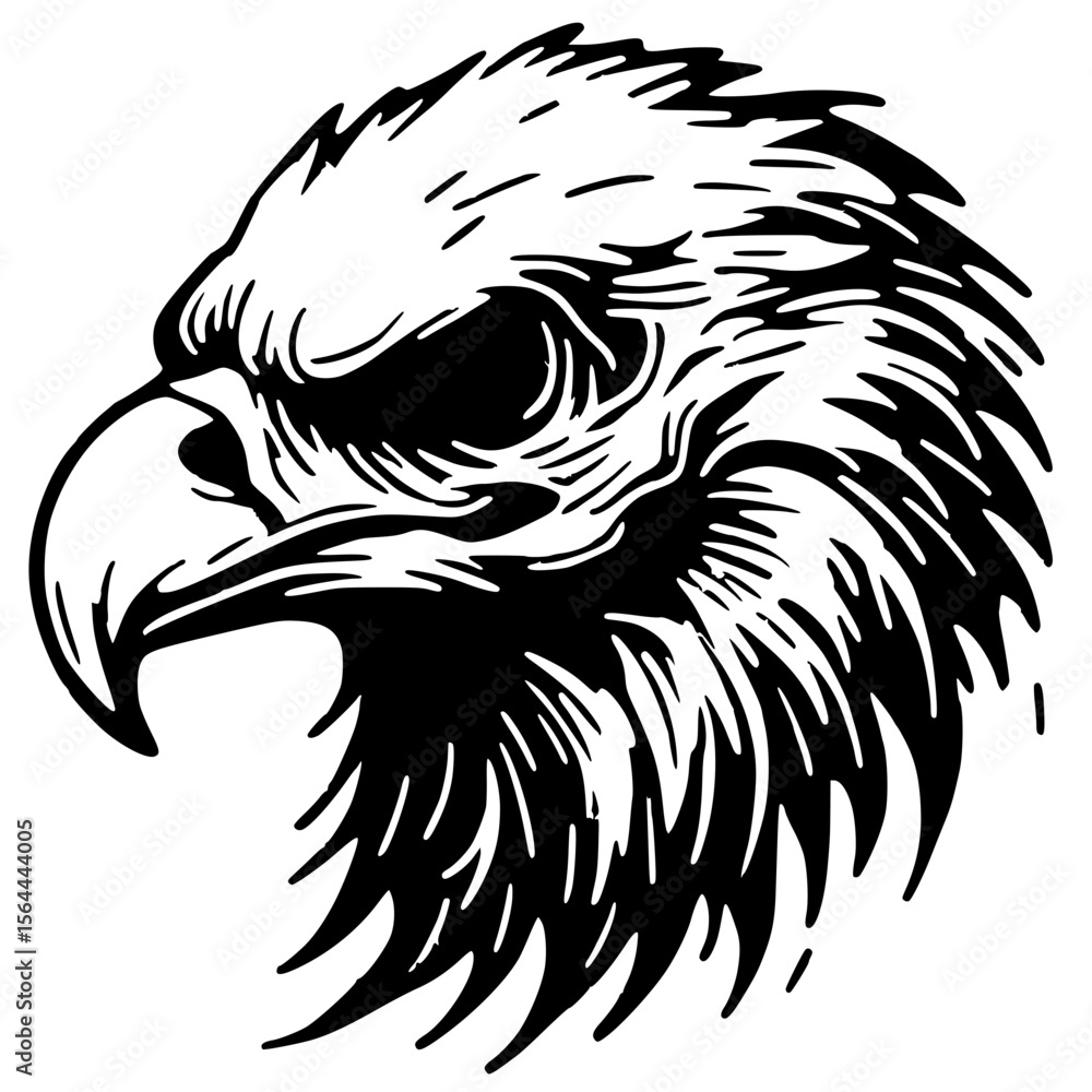 Obraz premium Eagle skull silhouette