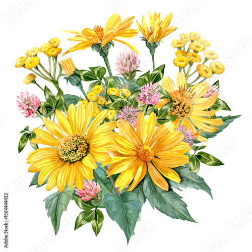 Hand drawn laun herbs and flowers in yellow and pink colors