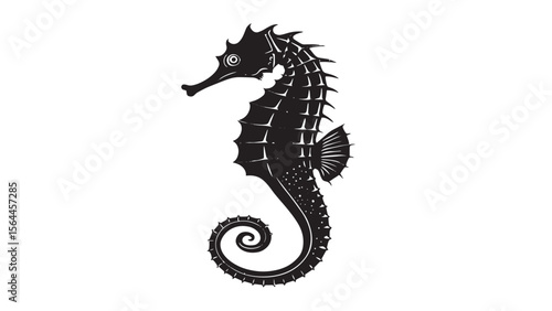 Detailed black silhouette of a seahorse with a curled tail and spiky dorsal fins on a white background