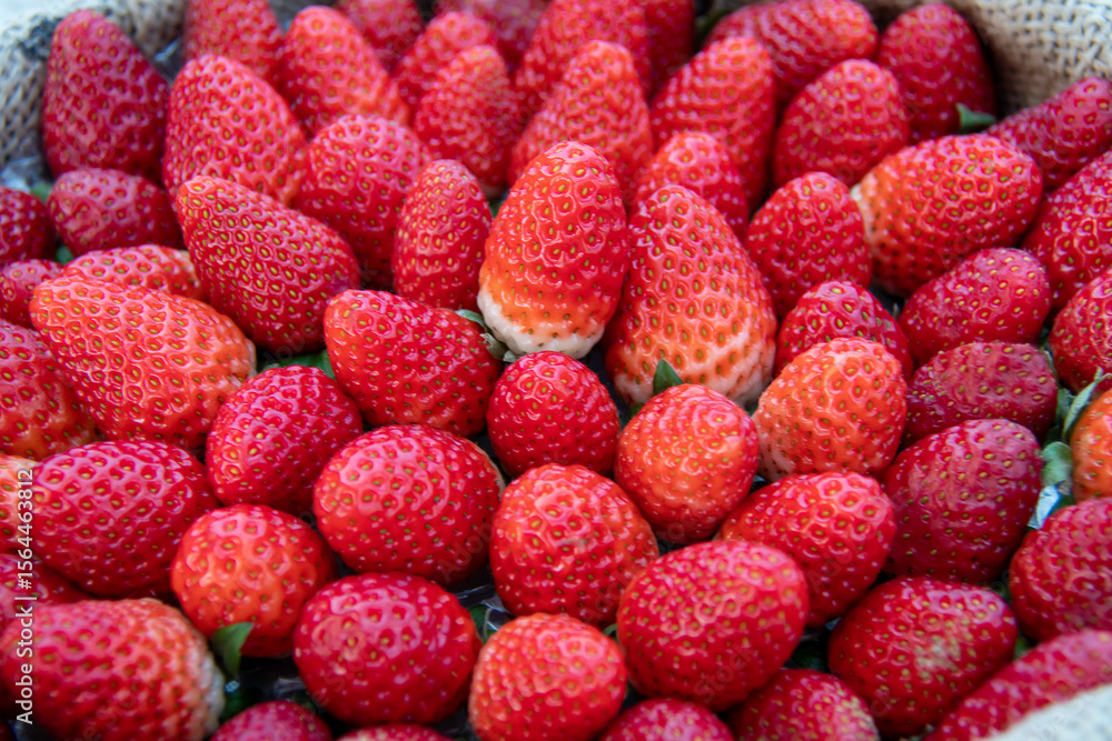 Detail of a harvesting basket full of strawberries. Fresh red fruits on rustic wicker, ready to harvest moments of flavor and beauty. Detail of a harvesting basket full of strawberries. Fresh red fruits on rustic wicker, ready to harvest moments of flavor and beauty.
