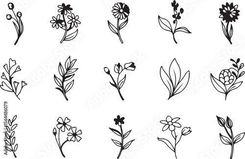 Monochrome Assorted Floral and Leaf Sprigs Line Art