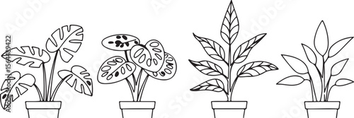 Potted Houseplant Variety Silhouette Line Art Display