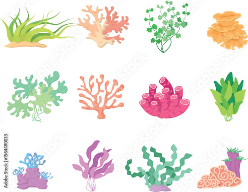 Flat Vector Illustration of Colorful Seaweed and Coral Collection for Underwater Marine Life Infographic and Educational Presentation