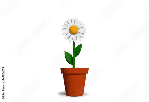 Simple daisy flower in terracotta pot on white background  