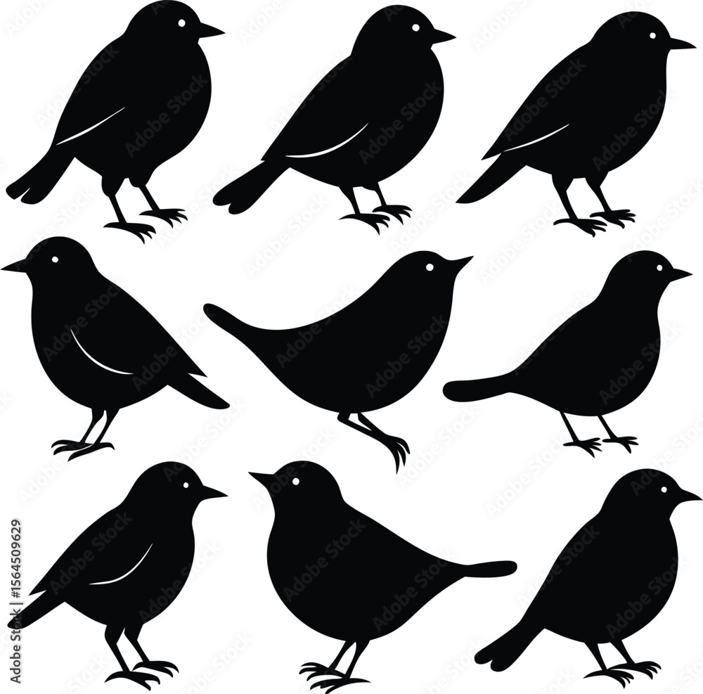Obraz premium Silhouette Birds Clipart: Black Bird Silhouettes Vector Graphic Illustration Set