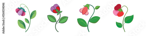 Sweet Pea Flower Flat Illustration - Delicate Cottage Garden Vector Design