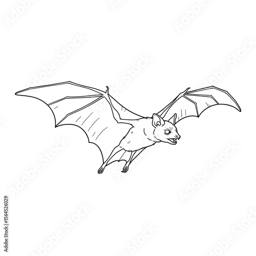 Bat flying with outstretched wings in a simple sketch style  