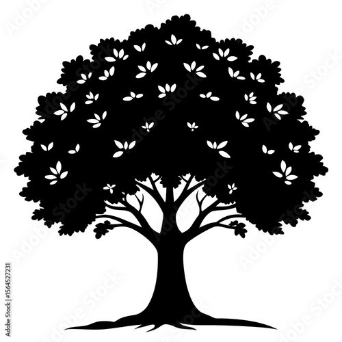 Sycamore Tree black Silhouette on white background 