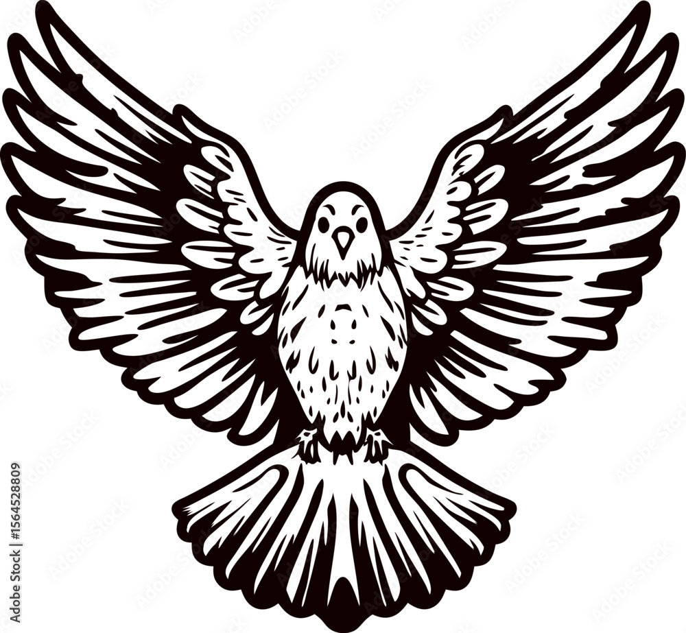 Fototapeta premium Detailed black and white illustration of a flying dove with extended wings and tail, hand drawn engraving