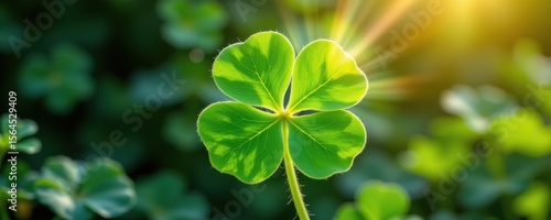 a glowing green clover leaf with light rays, representing vitality, healing energy, and natural wellness.