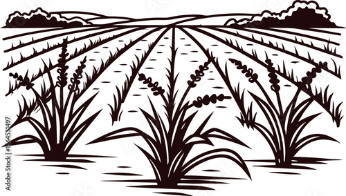 line art illustration of farmland landscape with crops and rolling hills in the background