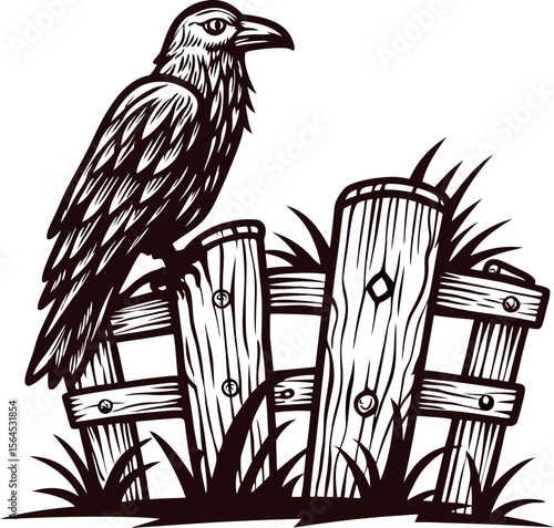 Hand drawn raven perched on rustic wooden fence in engraving black and white illustration