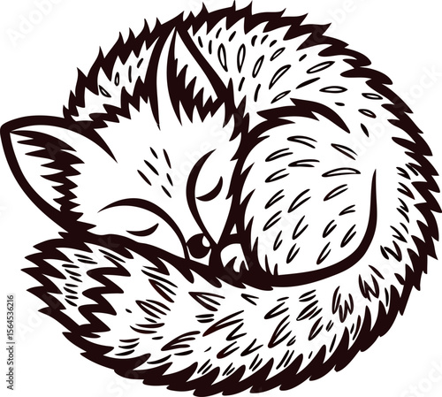 Hand drawn curled up fox sleeping with tail wrapped around body vintage engraving animal illustration
