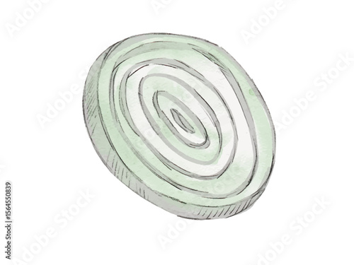 水彩で描いた玉ねぎ輪切の料理食材の水彩ベクターイラスト素材	