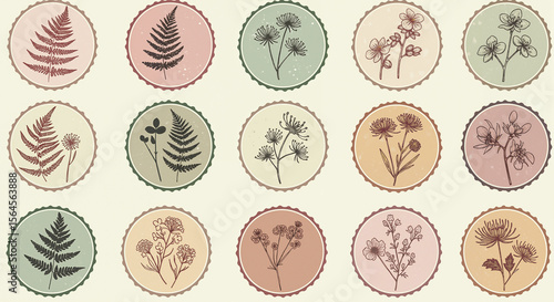 Vintage botanical illustrations in circular frames on light background  