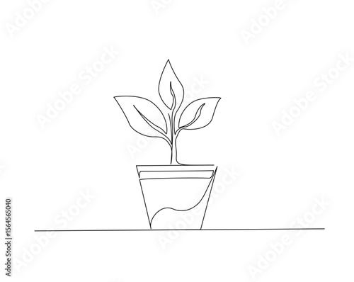 Plant on the pot outline drawing illustration. one continuous line drawing of house plant.