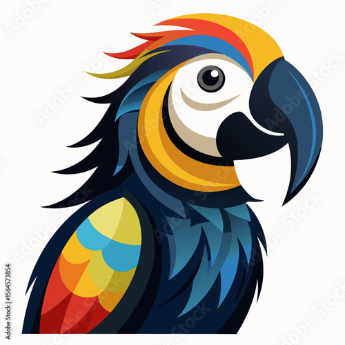 blue and yellow macaw