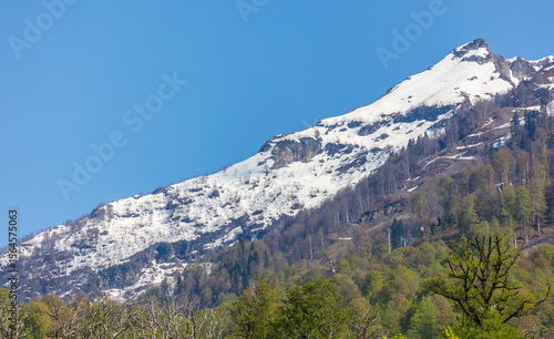 Wallpaper Mural A mountain covered in snow with a clear blue sky in the background Torontodigital.ca