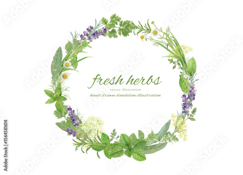 水彩で描いたハーブの葉で飾ったフレーム素材