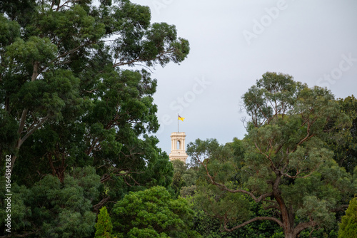 A Nankeen Night Heron roosting among tangled forest branches, its rich chestnut and cream plumage blending with the surroundings.