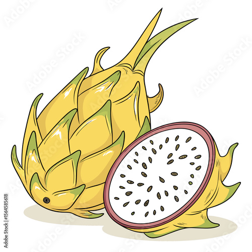 Fresh, sweet, and healthy vector illustration of isolated dragon fruits