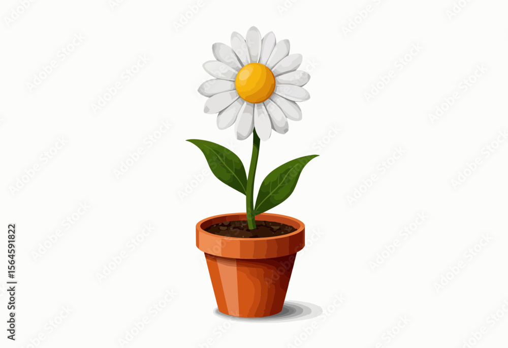 Daisy flower in terracotta pot with green leaves on white background Daisy flower in terracotta pot with green leaves on white background