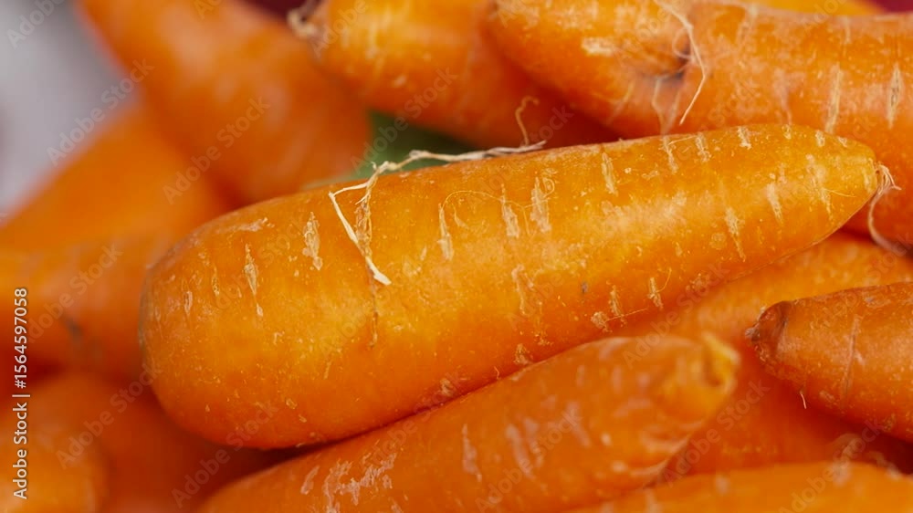 Fresh carrots piled together Fresh carrots piled together