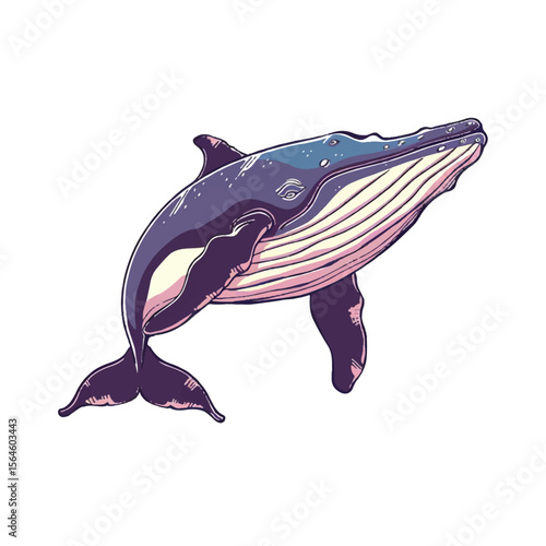 Stylized Humpback Whale with Distinctive Throat Grooves and Dark Blue Skin