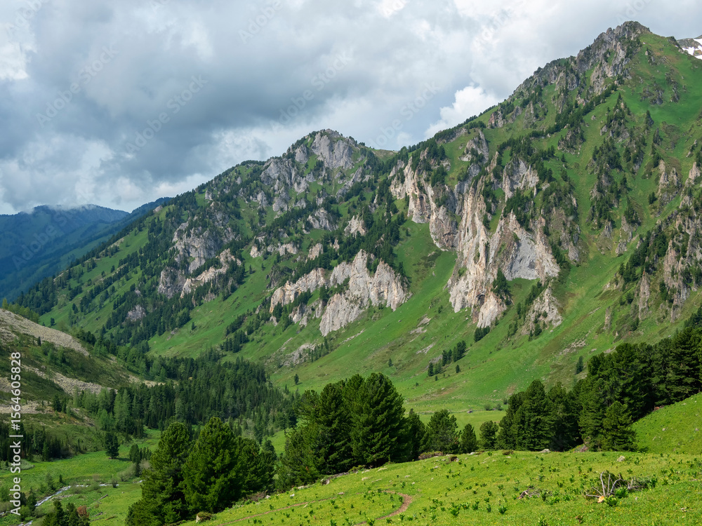 Naklejka premium Picturesque sunny summer mountain plateau