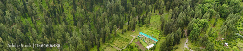 Фотография Forest Retreat Camp in Himachal – Aerial View of Tents Amidst Pines