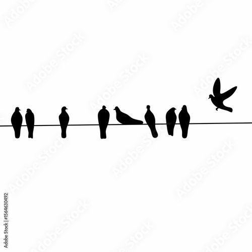 Silhouette of a flock of pigeons perched on a power line on a white screen background.