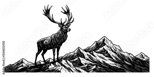 Majestic Antlered Stag Standing on Mountain Peak Landscape Black and White Outline Line Art Drawing