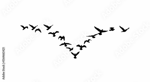 Bird Flock Flying in V Formation Silhouette on White Background, Migrating Birds Vector Illustration