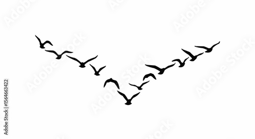 Bird Flock Flying in V Formation Silhouette on White Background, Migrating Birds Vector Illustration