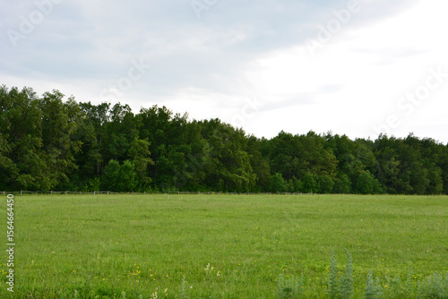 Green field with trees and cloudy sky