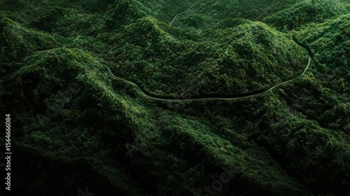 Fototapeta Naklejka Na Ścianę i Meble -  Aerial top view of a mountain road winding through a dark green forest