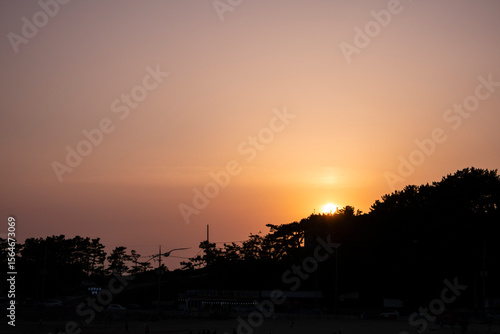 A view of the sunset over a forest on the beach